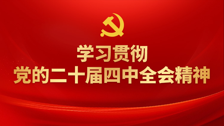 专题丨学习贯彻党的二十届四中全会精神